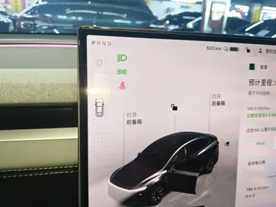 Tesla Model Y L