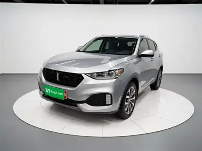 WEY Wey VV6