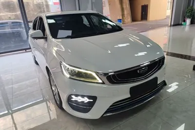 Geely Auto Binray