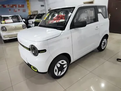 Galaxy Panda