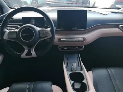 BYD Seagull