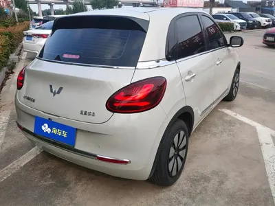 Wuling Bingo