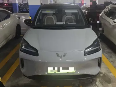 Wuling Bingo PLUS