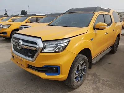 Dongfeng Rich 6 New Energy