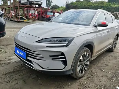 BYD PLUS New Energy