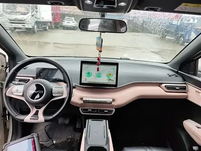 BYD Seagull