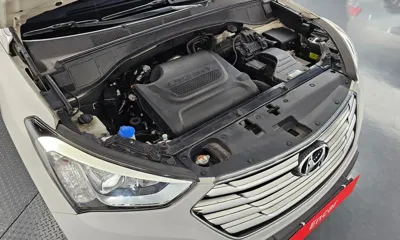Hyundai Maxcruz
