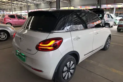 Wuling Bingo