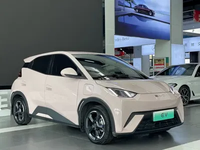 BYD Seagull