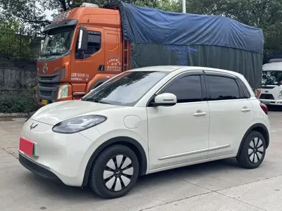 Wuling Bingo