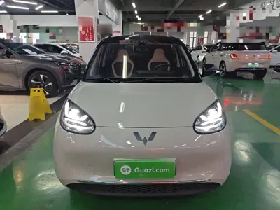 Wuling Bingo