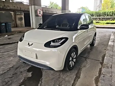 Wuling Bingo