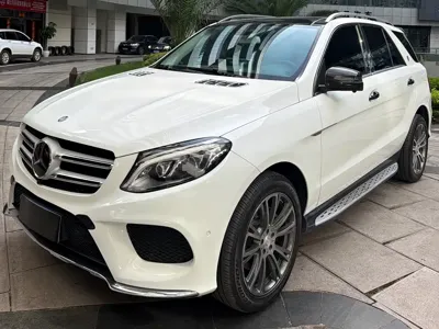 Mercedes-Benz 奔驰GLE(进口)
