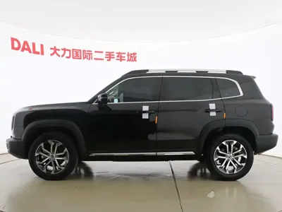 Haval Big Dog