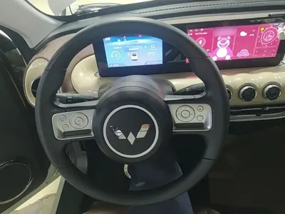 Wuling Bingo