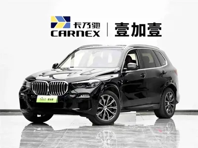 BMW X5 New Energy (Import)