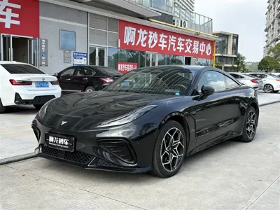 NETA Neta GT