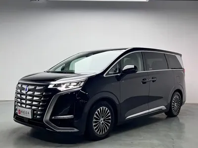 Denza Denza D9
