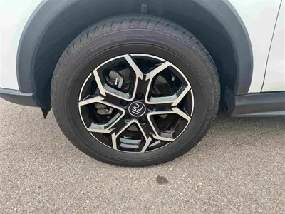 BYD Yuan Pro