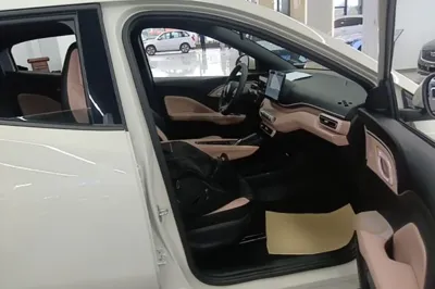 BYD Seagull