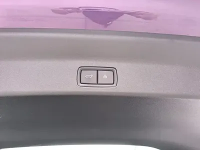 Li Auto Li L9