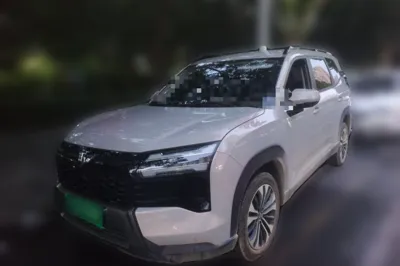 Wuling Starlight 560
