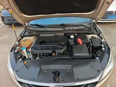 Geely Binrui