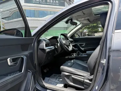 BYD Pro