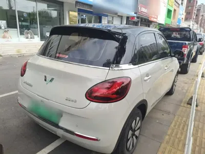 Wuling Bingo
