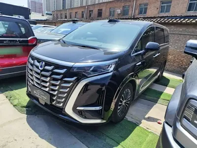Denza Denza D9