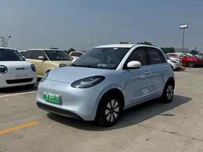 Wuling Bingo