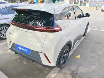 BYD Seagull