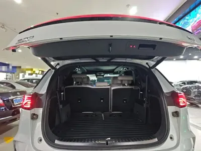 BYD Tang New Energy