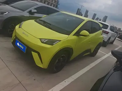 BYD Seagull