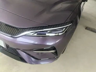 BYD L EV
