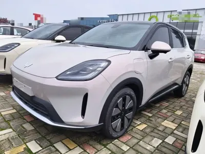 Wuling 缤果S
