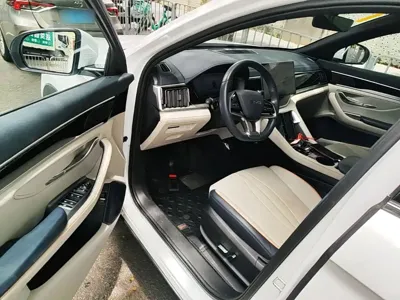 BYD PLUS New Energy