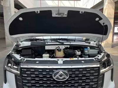 Maxus V80