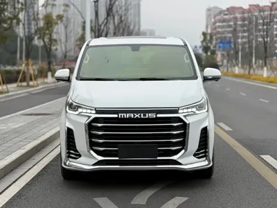 大通 G20