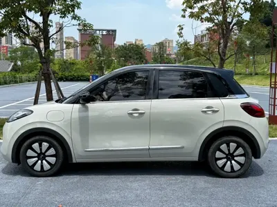 Wuling Bingo