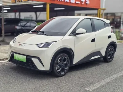 BYD Seagull
