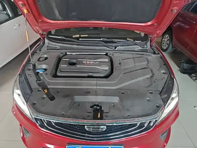Geely Binrui