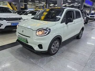 Leapmotor Leapmotor T03