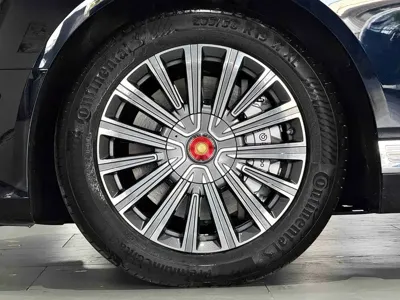 Hongqi 红旗金葵花国雅
