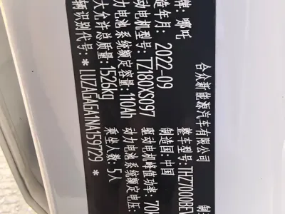 NETA Neta V