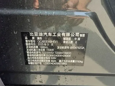 Denza 腾势N9