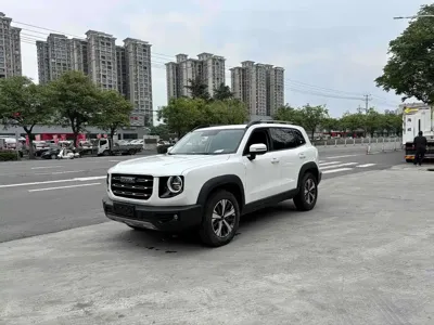 Haval Big Dog