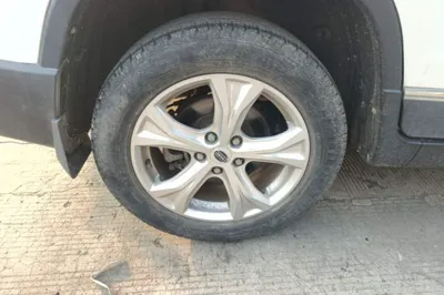 Bisu T5