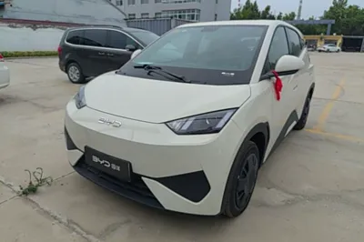 BYD Seagull