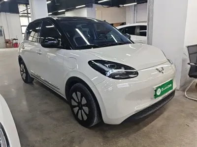 Wuling Bingo